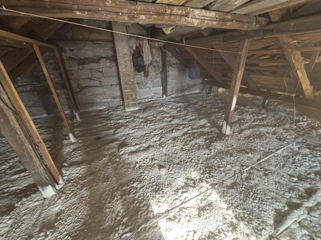 WhatsApp Image 2026-04-08 at 07.49.05 Duży