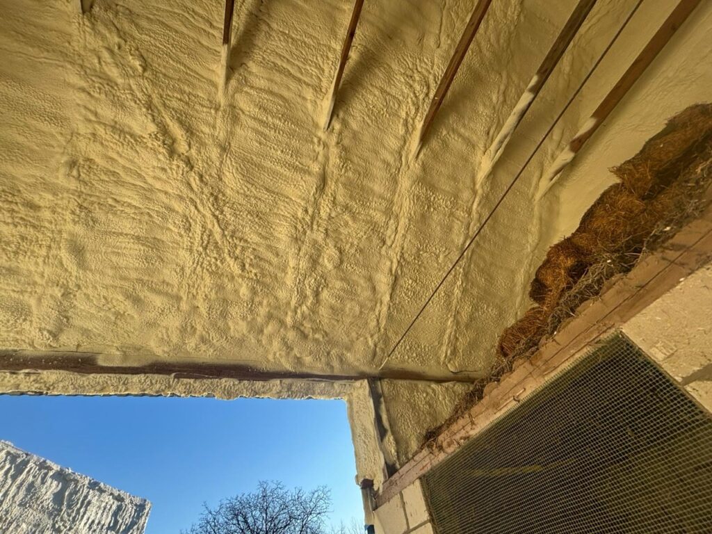 WhatsApp Image 2026-04-08 at 08.07.11 Duży