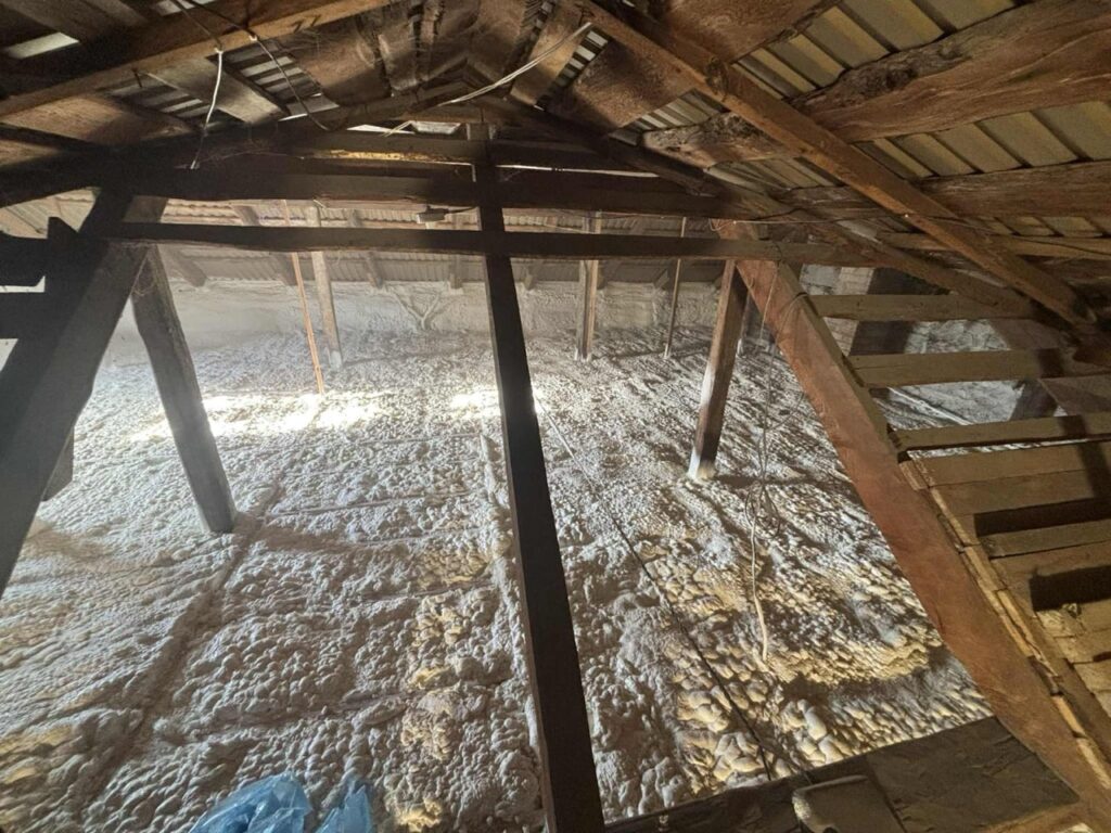 WhatsApp Image 2026-04-08 at 08.07.34 Duży