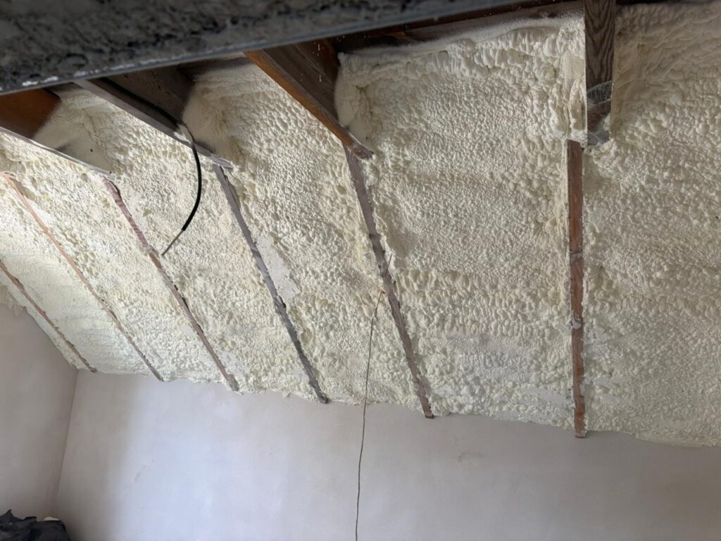 WhatsApp Image 2026-04-08 at 08.08.13 Duży